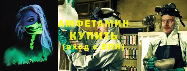индика Новокубанск