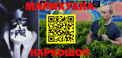 прущие грибы Абакан