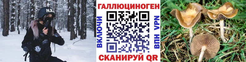 Галлюциногенные грибы прущие грибы  купить наркотик  mega рабочий сайт  Апатиты 