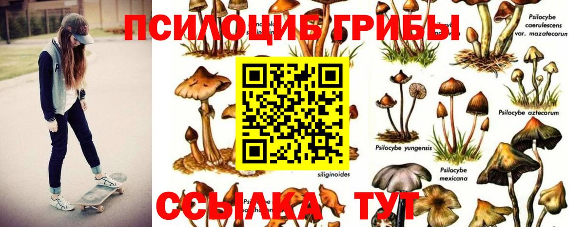 Псилоцибиновые грибы MAGIC MUSHROOMS  Галлюциногенные грибы мухоморы  Апатиты 
