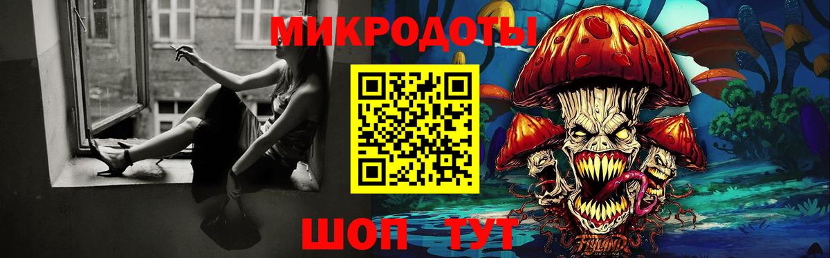 Псилоцибиновые грибы Cubensis Апатиты