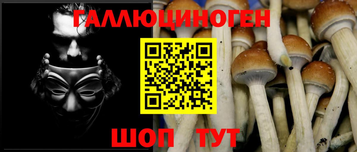Псилоцибиновые грибы MAGIC MUSHROOMS  Галлюциногенные грибы Psilocybine cubensis  Апатиты  Вход с VPN 